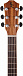 Электроакустическая гитара BATON ROUGE AR11C/ACE-L