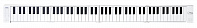 Складное фортепиано BLACKSTAR CARRY-ON 88
